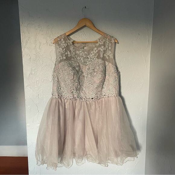 Dresses & Skirts - Charming Lace Tulle Fairy Mini Dress in Soft Pink Balletcore Ballet Core sz 12